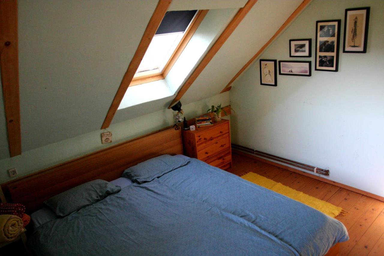 Holiday Home Trnavsko Bogojina エクステリア 写真