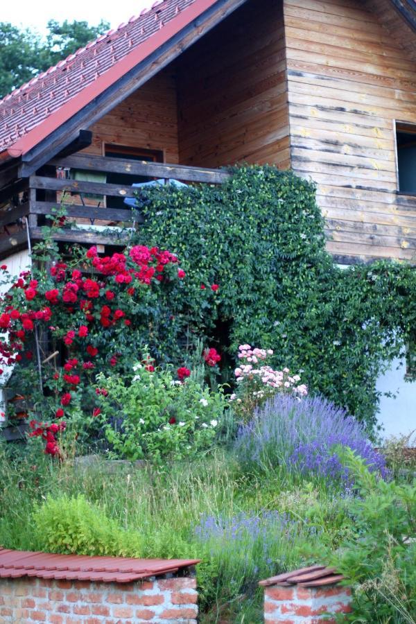 Holiday Home Trnavsko Bogojina エクステリア 写真