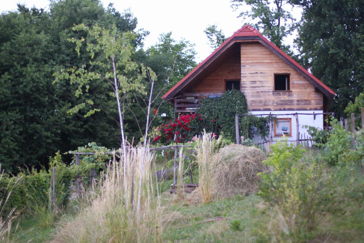 Holiday Home Trnavsko Bogojina エクステリア 写真
