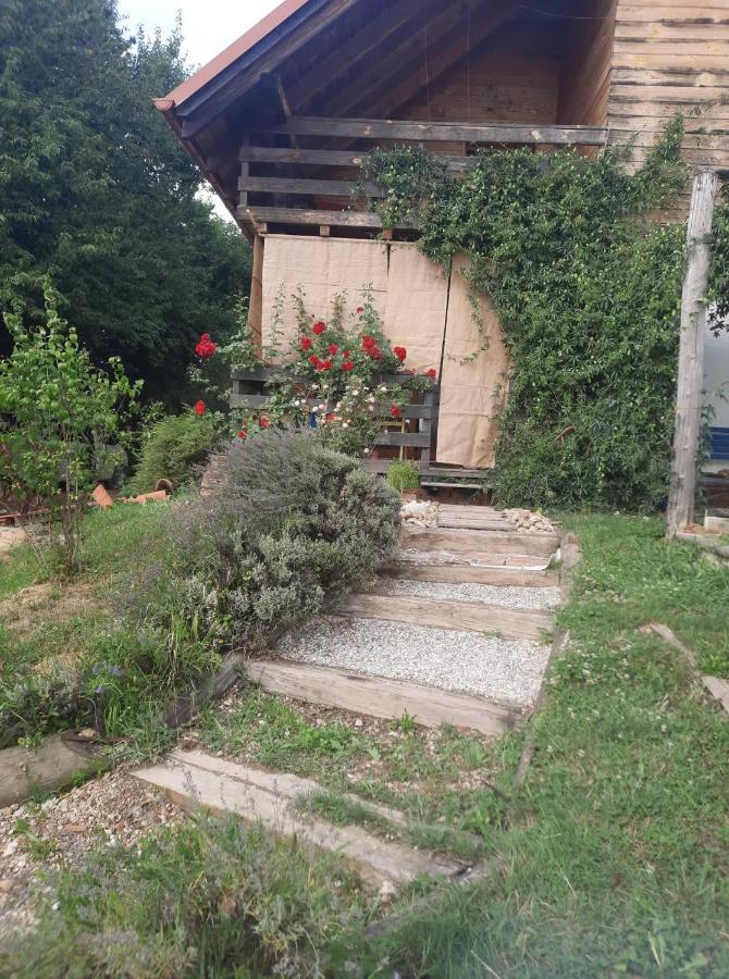 Holiday Home Trnavsko Bogojina エクステリア 写真