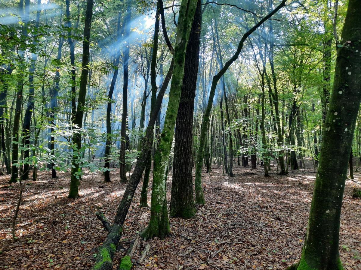 Holiday Home Trnavsko Bogojina エクステリア 写真