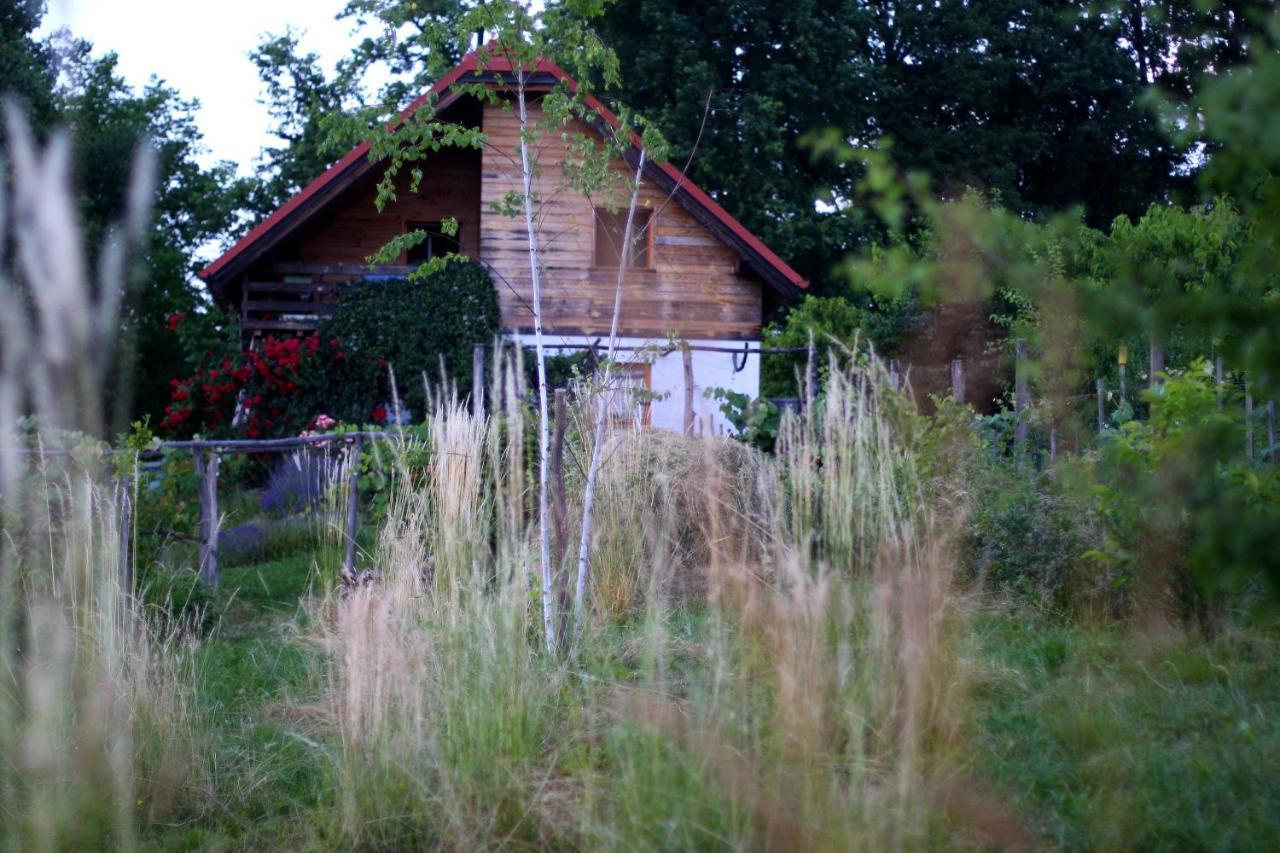 Holiday Home Trnavsko Bogojina エクステリア 写真